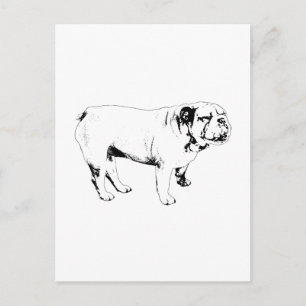omtrek hallo, buldog briefkaart