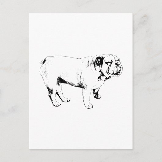 omtrek hallo, buldog briefkaart (Voorkant)