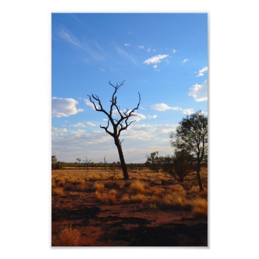 Omtrek landschap foto afdruk (Voorkant)