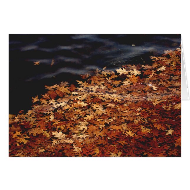 Omvang (Voorkant Horizontaal)