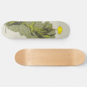 omvang persoonlijk skateboard (Horizontaal)