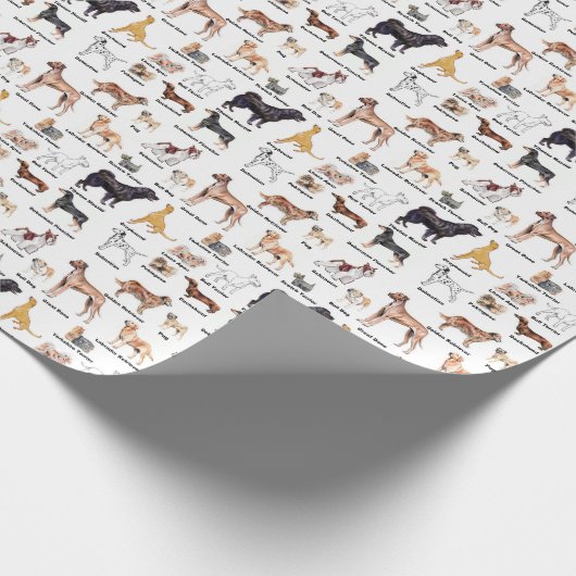Omwikkeling Dog Types Cadeaupapier (Hoek)
