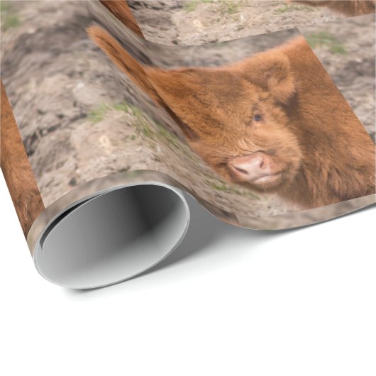 Omwikkeling van hobbykoe cadeaupapier (Rol Hoek)