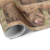 Omwikkeling van hobbykoe cadeaupapier (Rol Hoek)