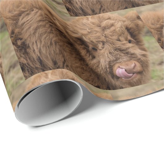 Omwikkeling van hobbykoe cadeaupapier (Rol Hoek)