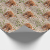 Omwikkeling van hobbykoe cadeaupapier (Hoek)