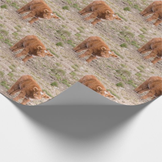 Omwikkeling van hobbykoe cadeaupapier (Hoek)