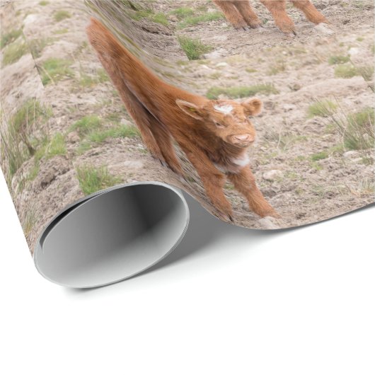 Omwikkeling van hobbykoe cadeaupapier (Rol Hoek)