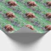 Omwikkeling van hobbykoe cadeaupapier (Hoek)