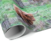 Omwikkeling van hobbykoe cadeaupapier (Rol Hoek)