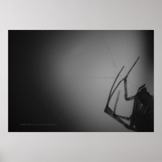 OMZETTING 8 POSTER (Voorkant)