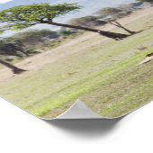 On Safari | Mikumi National Park, Tanzania Poster (Hoek)