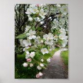 On the Boughs of Blossoms Poster (Voorkant)