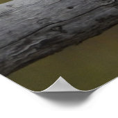 On the Fence II - Poster/Afdrukken Poster (Hoek)