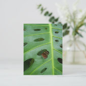 On The Green Briefkaart (Staand voorkant)