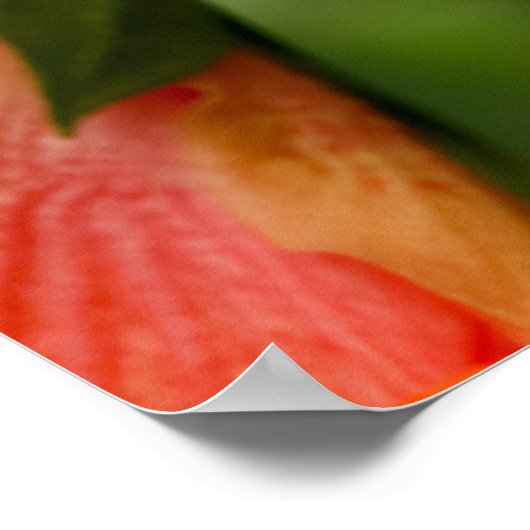 On the Green Poster (Hoek)