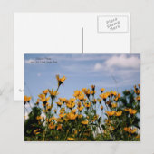 On the Prairie, Missouri Prairie Briefkaart (Voorkant / Achterkant)