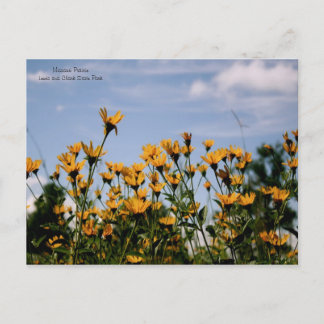 On the Prairie, Missouri Prairie Briefkaart