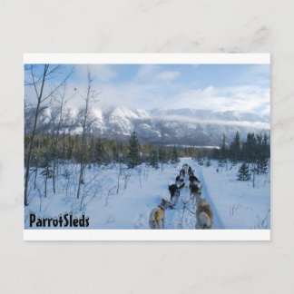 On_The_Trail.jpg Post Cards Briefkaart