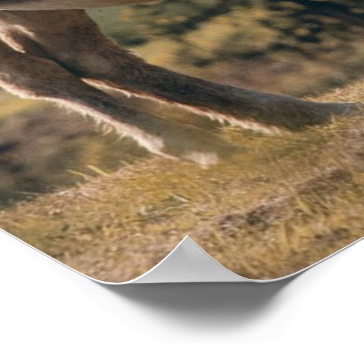 On Top  Poster (Hoek)