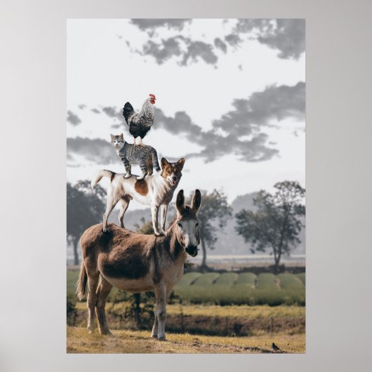 On Top Poster (Voorkant)