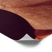 Onafgewerkt hoofd van Nefertiti, Nieuw Koninkrijk Poster (Hoek)