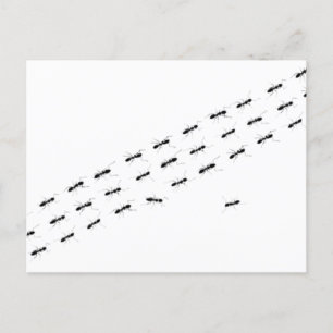 Onafhankelijke Ants Briefkaart