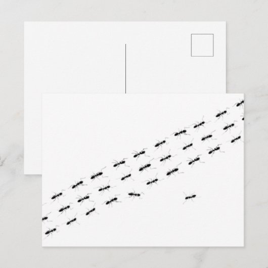 Onafhankelijke Ants Briefkaart (Voorkant / Achterkant)