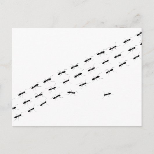 Onafhankelijke Ants Briefkaart (Voorkant)