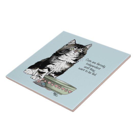 Onafhankelijke kitten kom grappig tegeltje (Zijkant)