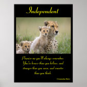 Onafhankelijke Posters Dier 8 (Voorkant)