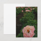 Onafhankelijke roze pioen notitiekaartje (Voorkant / Achterkant)