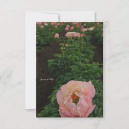 Onafhankelijke roze pioen notitiekaartje