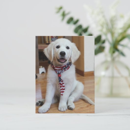 Onafhankelijkheidsdag 4 juli briefkaart (Staand voorkant)