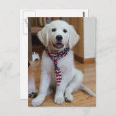 Onafhankelijkheidsdag 4 juli briefkaart (Voorkant / Achterkant)