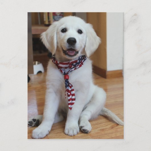 Onafhankelijkheidsdag 4 juli briefkaart (Voorkant)