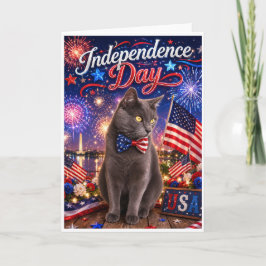 Onafhankelijkheidsdag Vuurwerk Kat Wenskaart Kaart
