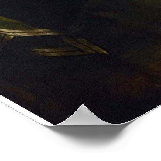 Onafhankelijkheidsverklaring van de Verenigde Stat Poster (Hoek)