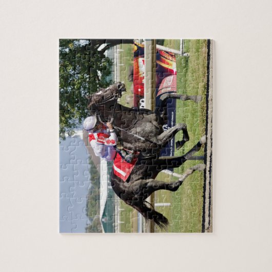 Onafhankelijkheidszaal - FTS Legpuzzel (Verticaal)