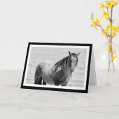 Onaqui Mountain Wild Horse blanco briefkaart. 5 x  Kaart (Gele Bloem)