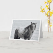 Onaqui Mountain Wild Horse blanco briefkaart.5  x  Kaart (Gele Bloem)