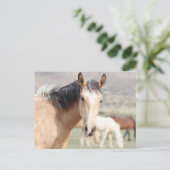 Onaqui Wild Horses Briefkaart (Staand voorkant)