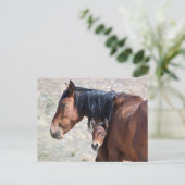Onaqui Wild Horses Briefkaart (Staand voorkant)