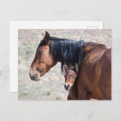 Onaqui Wild Horses Briefkaart (Voorkant / Achterkant)