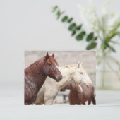 Onaqui Wild Horses Briefkaart (Staand voorkant)