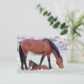 Onaqui Wild Horses Briefkaart (Staand voorkant)