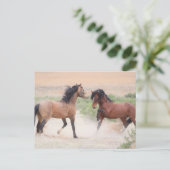 Onaqui Wild Horses Briefkaart (Staand voorkant)