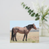 Onaqui Wild Horses Briefkaart (Staand voorkant)