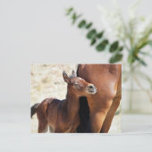 Onaqui Wild Horses Briefkaart (Staand voorkant)