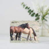 Onaqui Wild Horses Briefkaart (Staand voorkant)